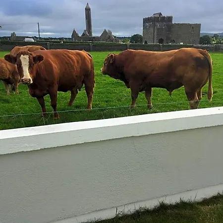 Hotel Naomh Colman 4*